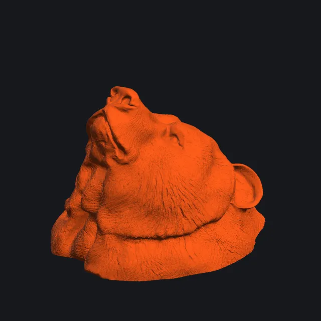 Ключница-крючок · вариант 17 — 3D-модель